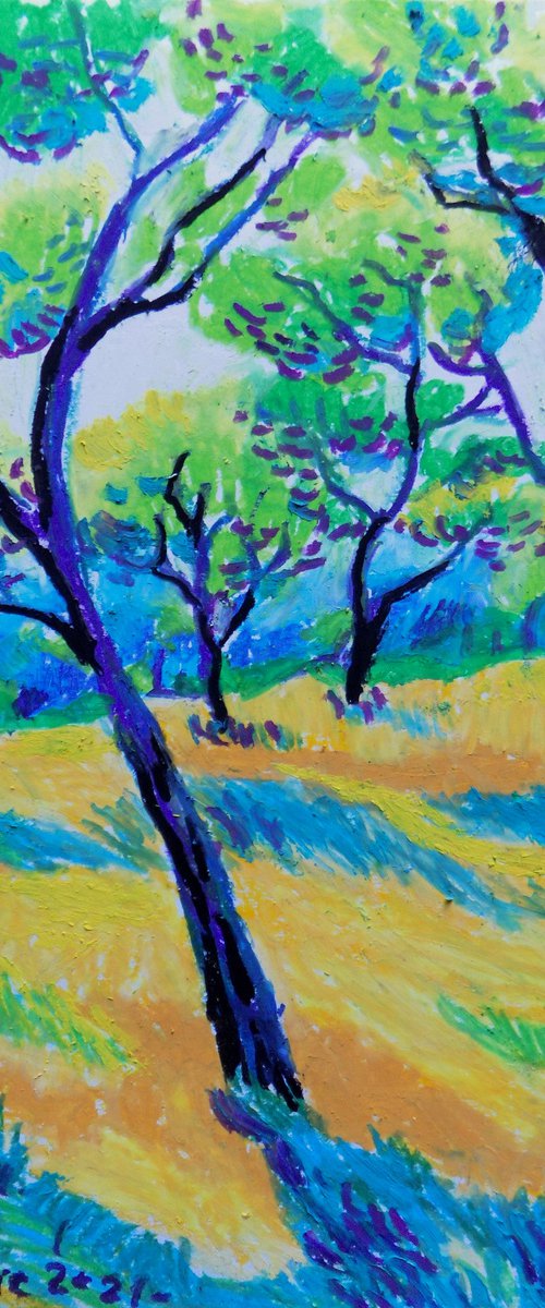 Olive grove No 29 by Maja Grecic