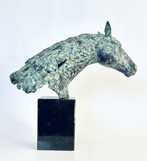 The Noble Hoof, no.V/VIII