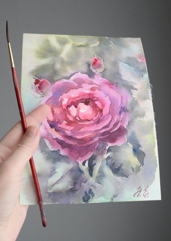 Purple Watercolor rose, flower from Summer garden