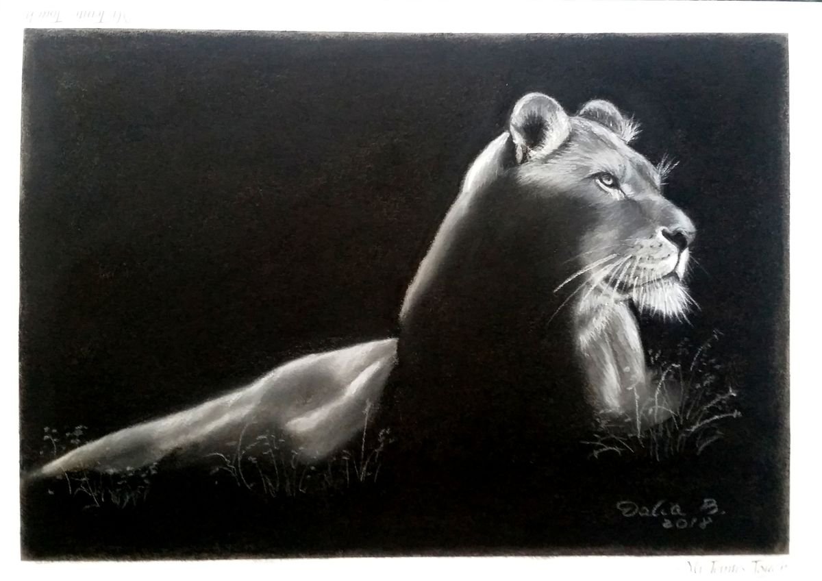 Lioness by Dalia Binkiene