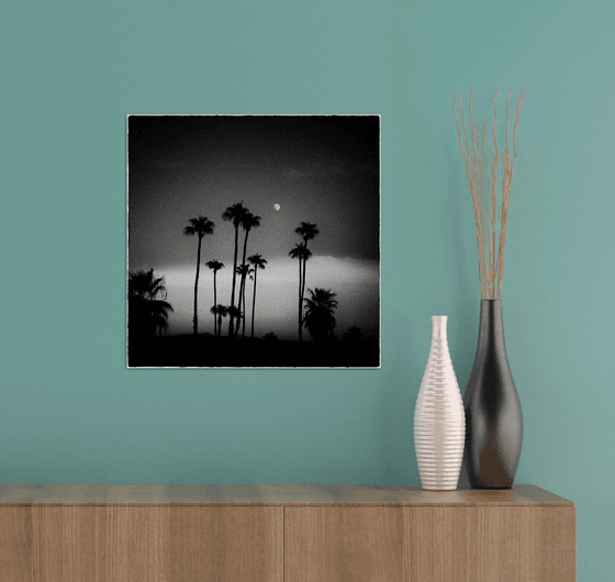 Palm Tree Moon, Anza Borrego