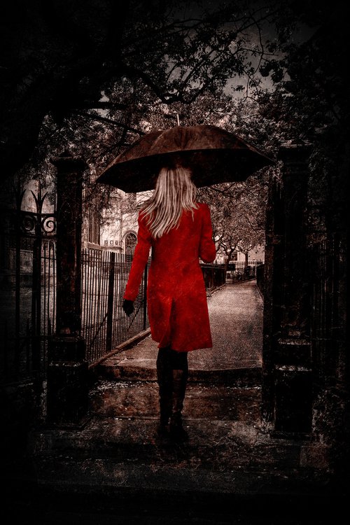The Girl in the Red Coat by Martin  Fry