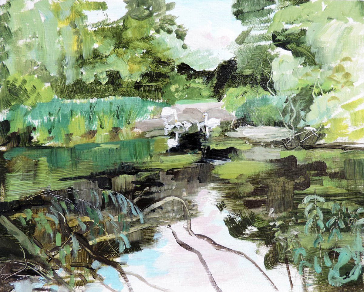 Blackford Pond, Summer by Sheila Chapman