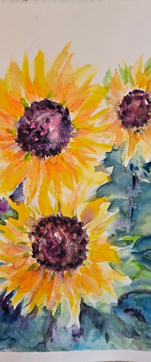 Three sunflowers by Silvia Flores Vitiello