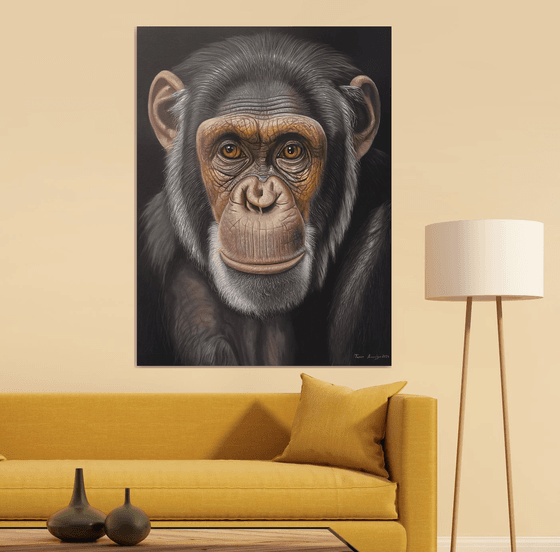 The Gaze of Chimpanzee