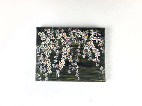 White Cherries 1