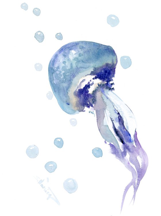 Jellyfish