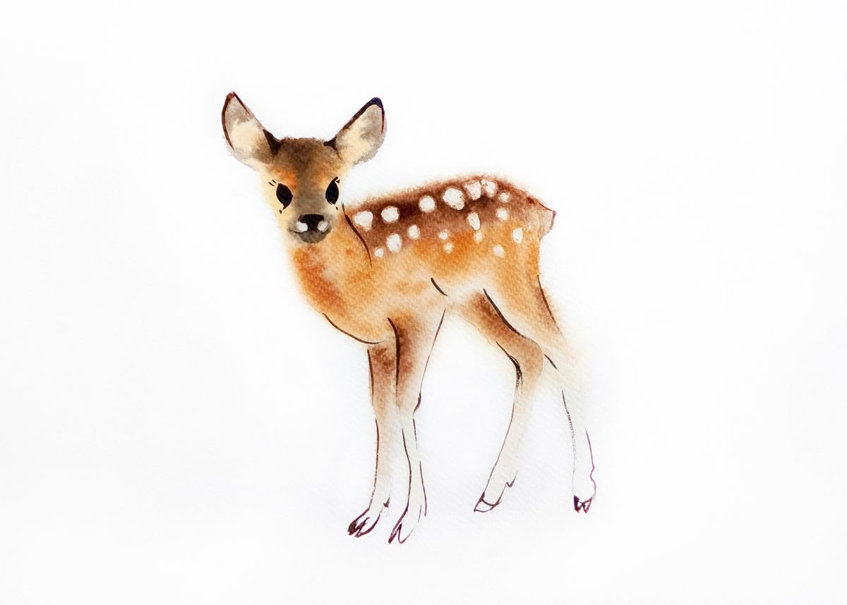 Fawn - Baby Deer by Olga Beliaeva Watercolour