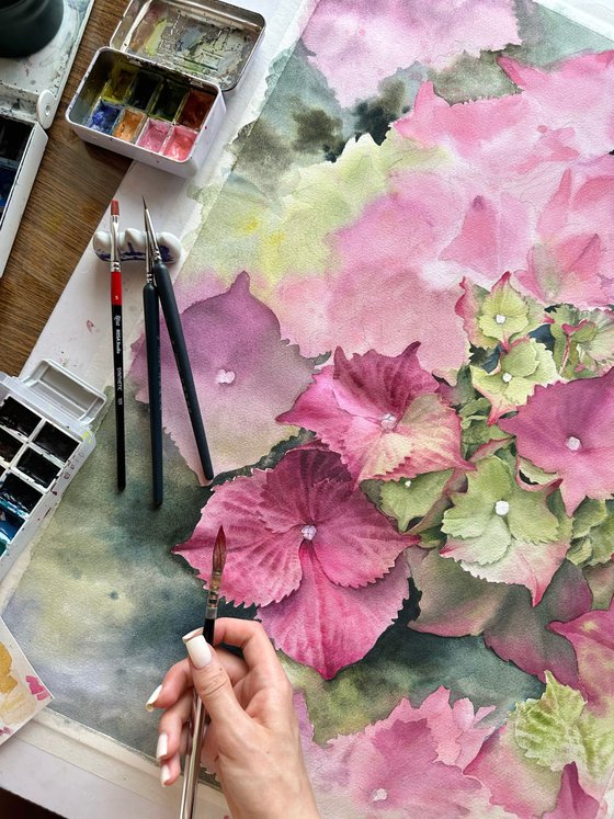 Pink hydrangeas