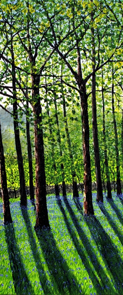 Colours of Spring   100cm x 100cm by Hazel Thomson