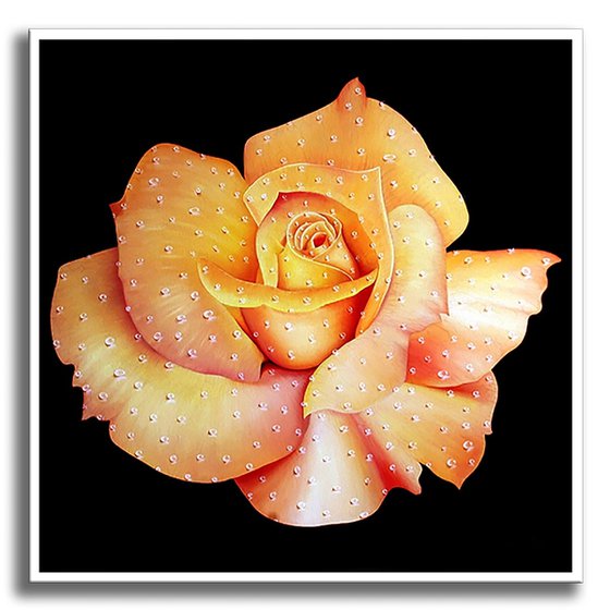 Rose Days