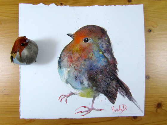The Red Capped Robin