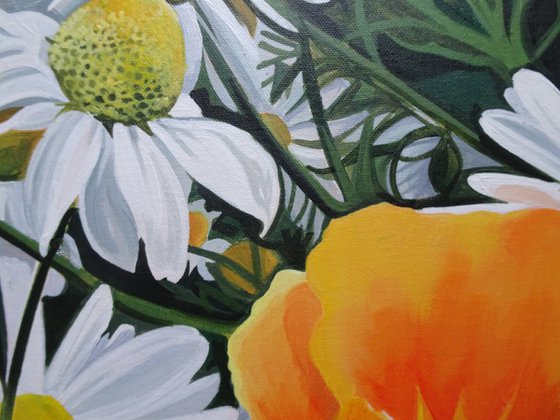 White Daisies And Californian Poppies