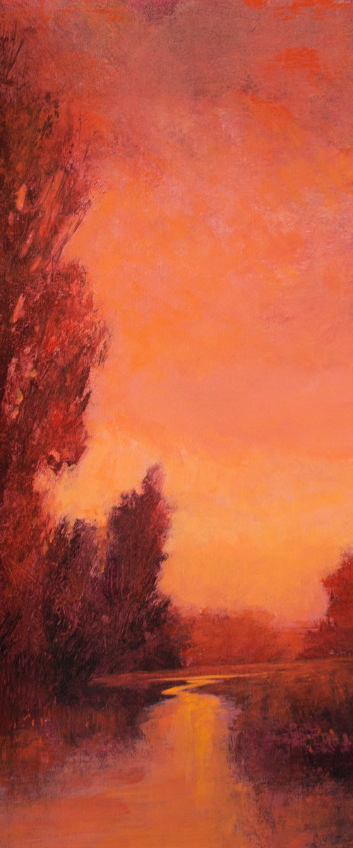 Red Sunset 231204 by Don Bishop