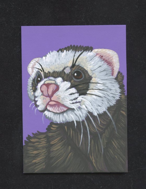 ACEO ATC Original Miniature Painting Ferret Pet Art-Carla Smale