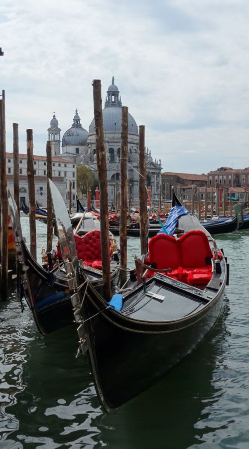 Venice 02119o photography by Airinlea