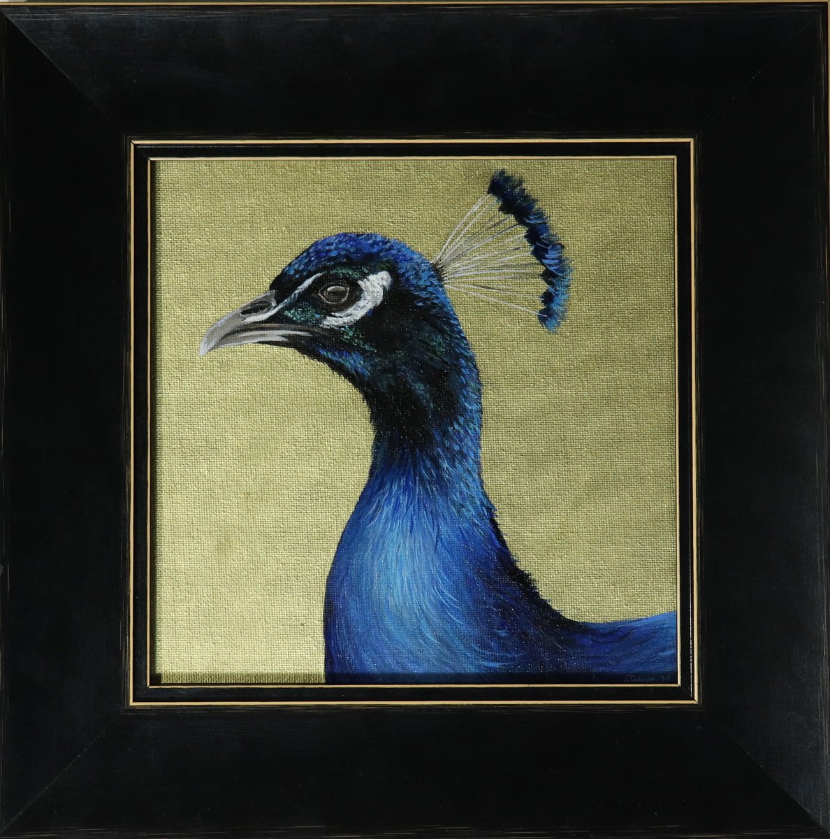 Peacock Portrait V by Alex Jabore