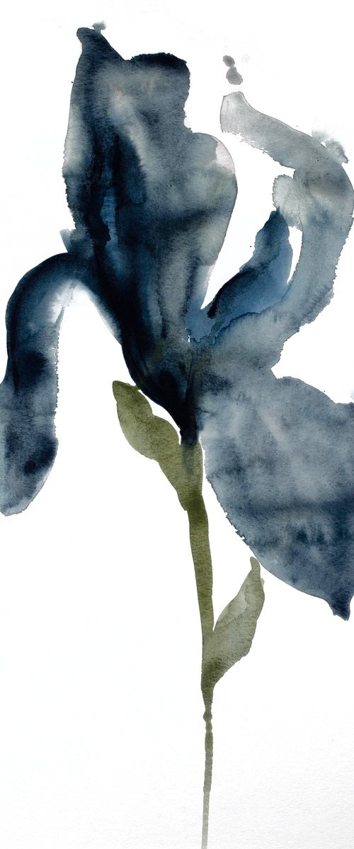 Iris No. 45 by Elizabeth Becker