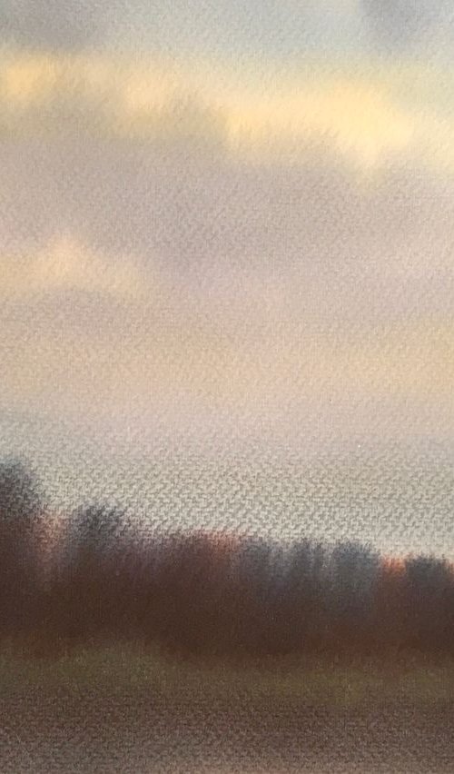 Winter blues by Samantha Adams