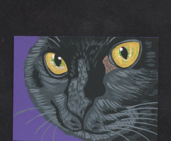 ACEO ATC Original Miniature Painting Black Kitten Pet Cat Art-Carla Smale