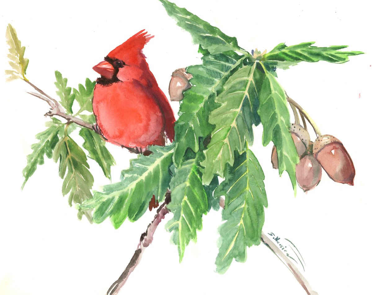 Cardinal Bird and Oak Tree by Suren Nersisyan