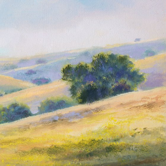 sunny hills with yellow flowers