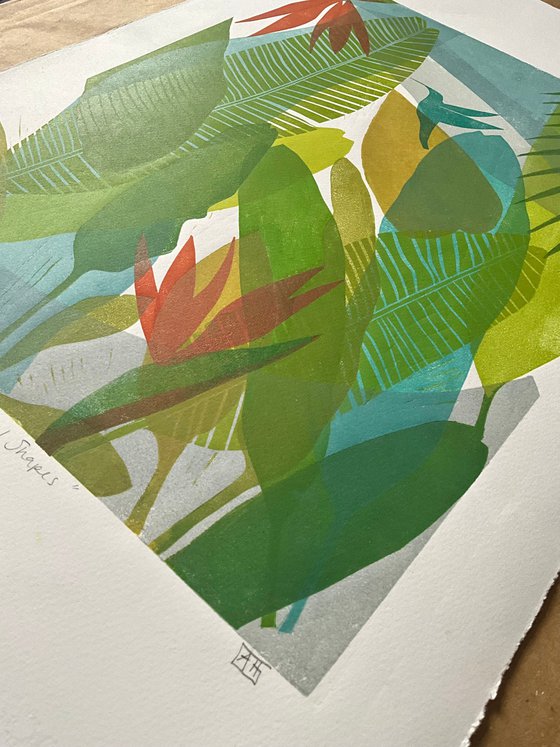 Tropical Shapes