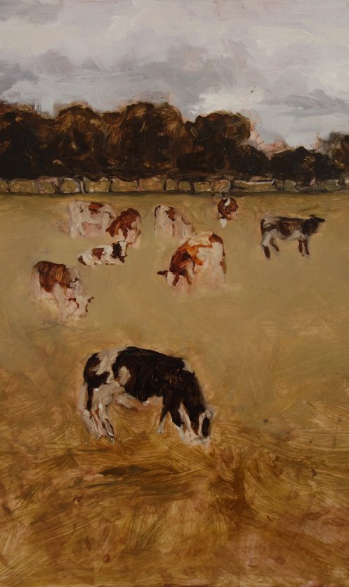 Where are the old cows by Ana del Valle Ojeda
