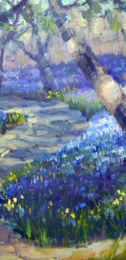 Hyacinth Trail by Kristina Sellers