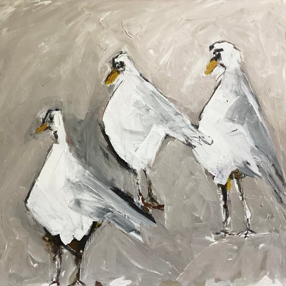 The Gulls