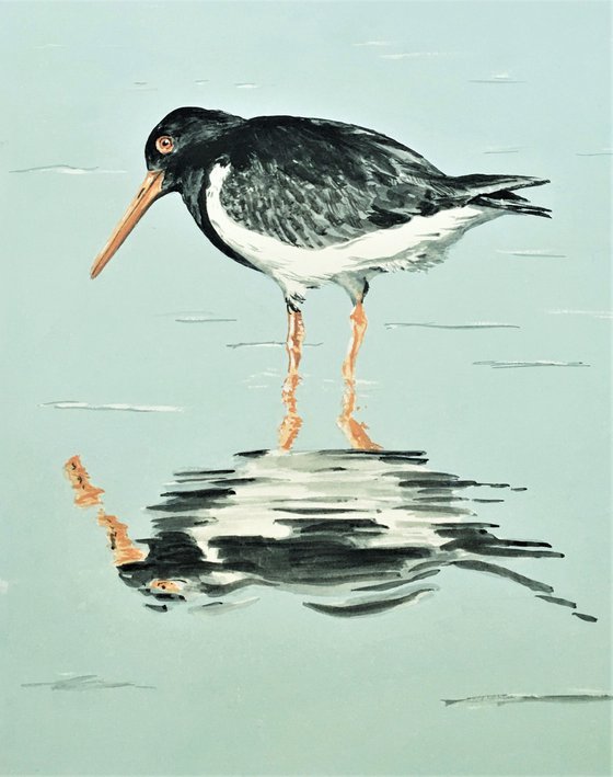 Oystercatcher # 2