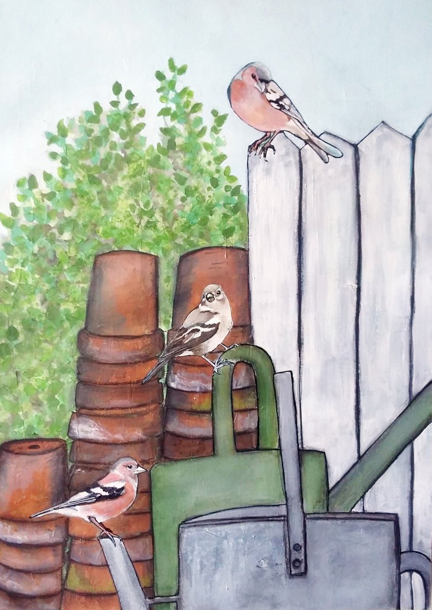 Chaffinches 1,2,3 by Carolynne Coulson