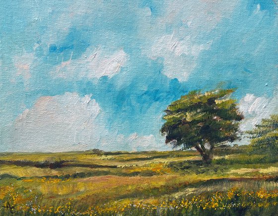 A Field in Summer