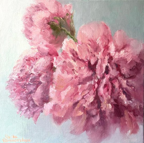 Peonies Memory