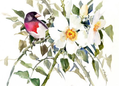 rose-breasted grosbeak and rosehip flowers by Suren Nersisyan