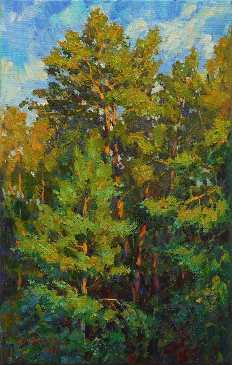 Impressionistic Landscape Oil Painting By Alisa Onipchenko-Cherniakovska, 14 X 22, Pine Forest, Original Artwork