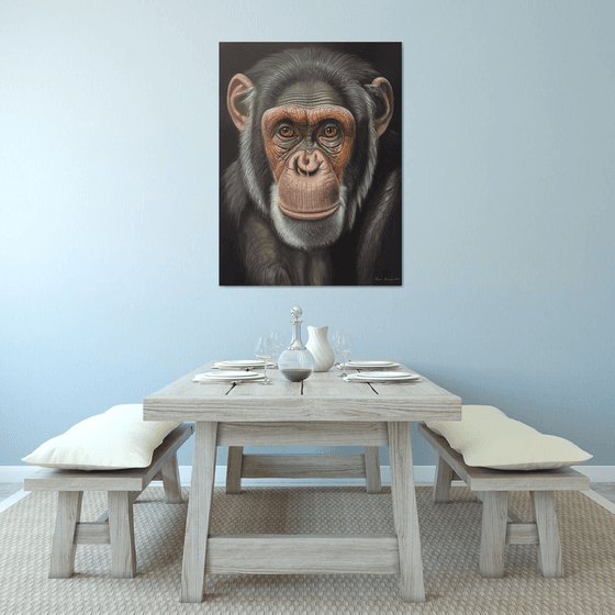 The Gaze of Chimpanzee