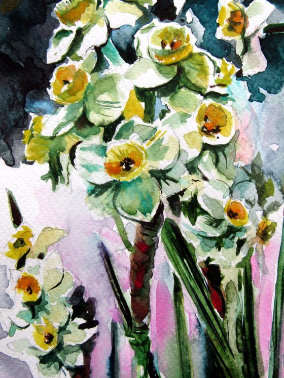 Narcissus florals
