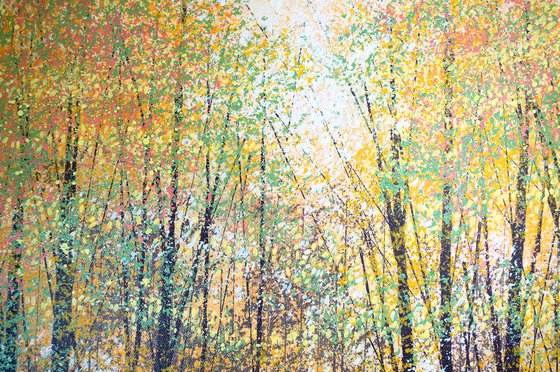 Autumn Forest Trees 4