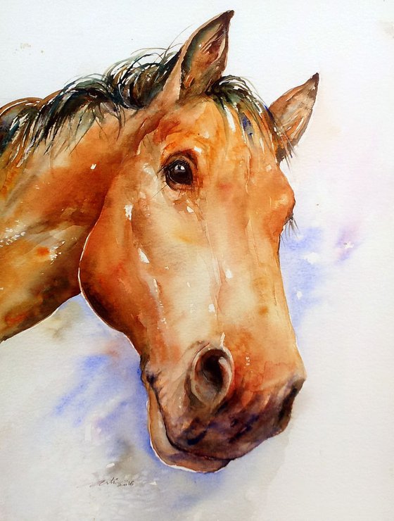 Chestnut Horse