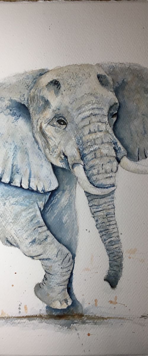 Walking Elephant by Sabrina’s Art