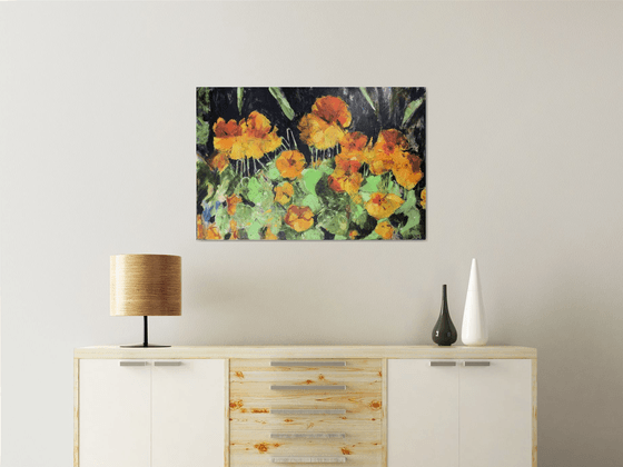 Nasturtiums