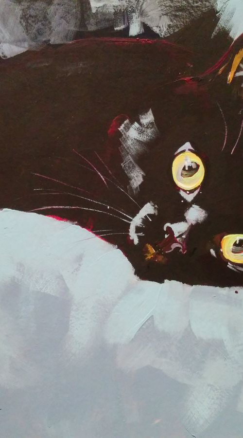 Black Cat Etude II by Jelena Nova