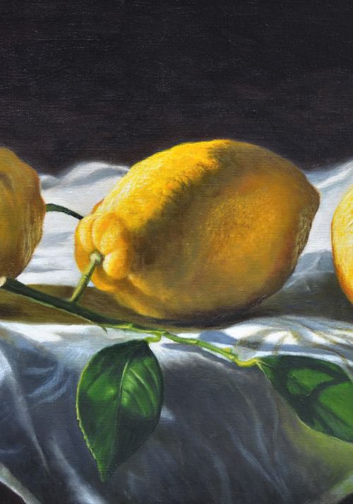 Three Lemons on a Damask Tablecloth by Andrew McNeile Jones