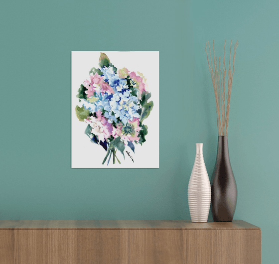 Blue  and Pink Hydrangea Flowers