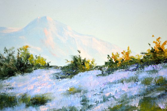 Wild lavender in the haze of the morning sun