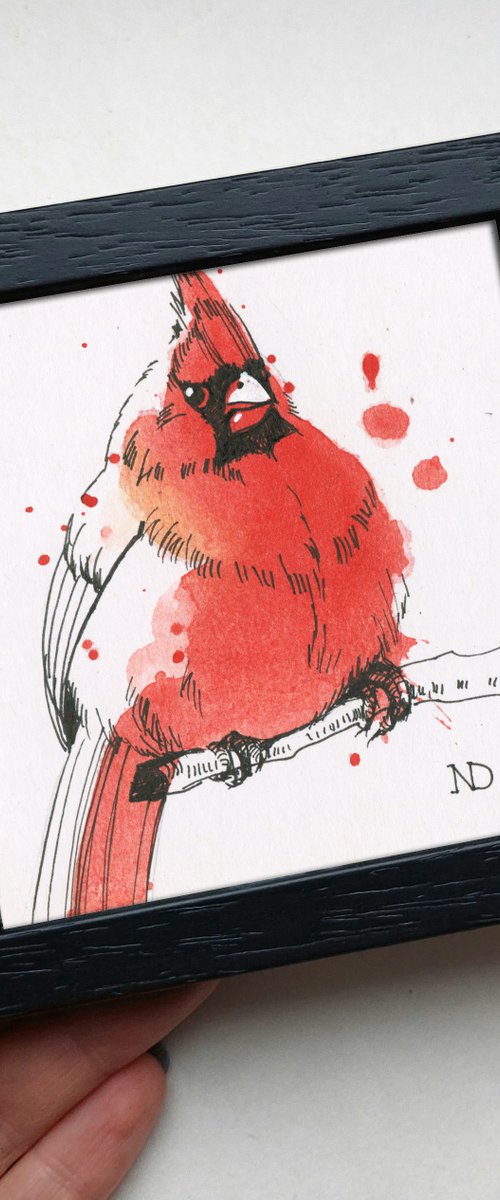 Cardinal bird by Nataly Derevyanko