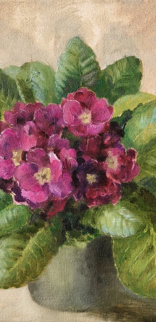 Prímula by Olga Goryunova