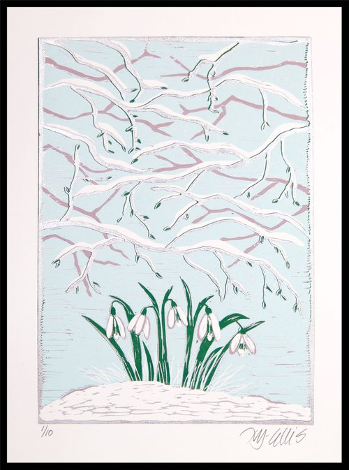 Snowdrops by Mariann Johansen-Ellis