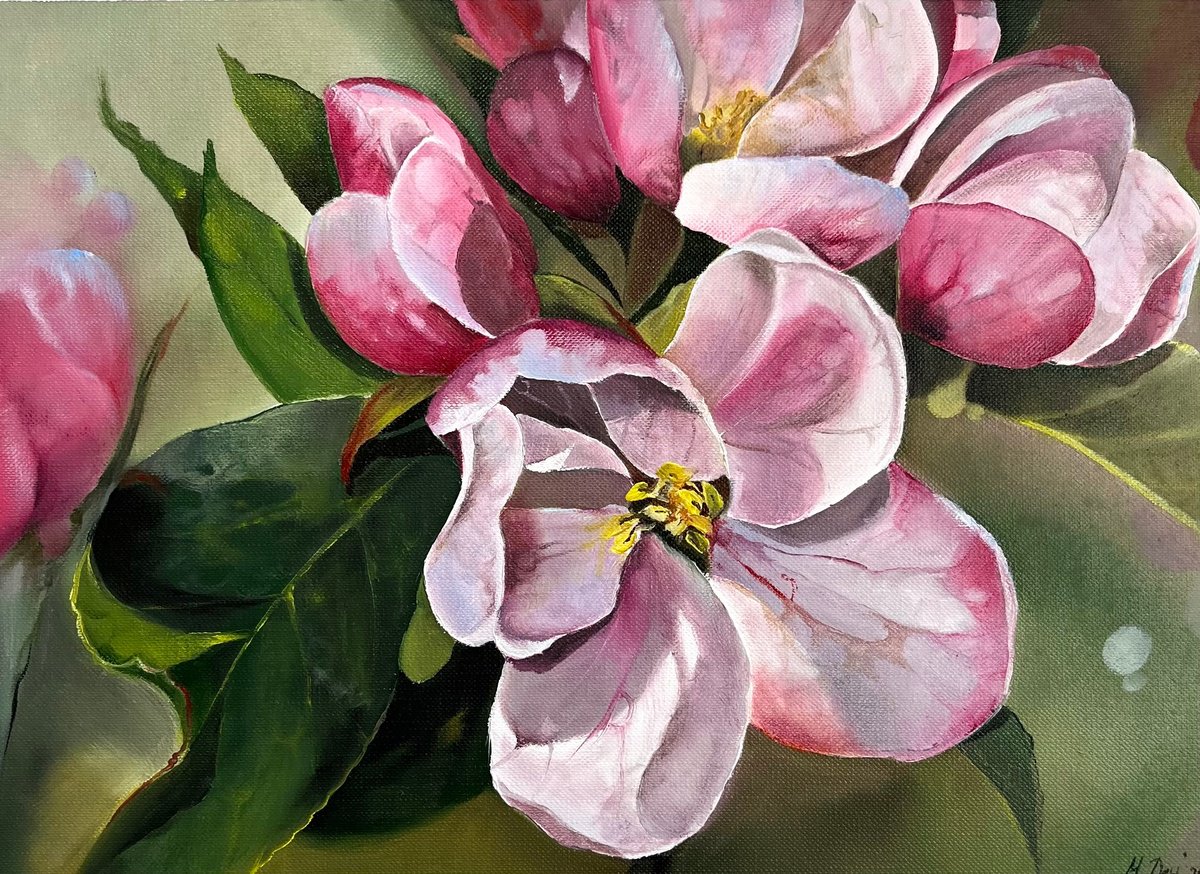Photorealistic Oil Painting , Apple Blossoms 4 By Myroslava Denysyuk, 13 X 9, Artwork For Sale On Artfinder